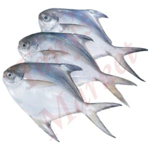 Silver Pomfret Whole 1 Kg